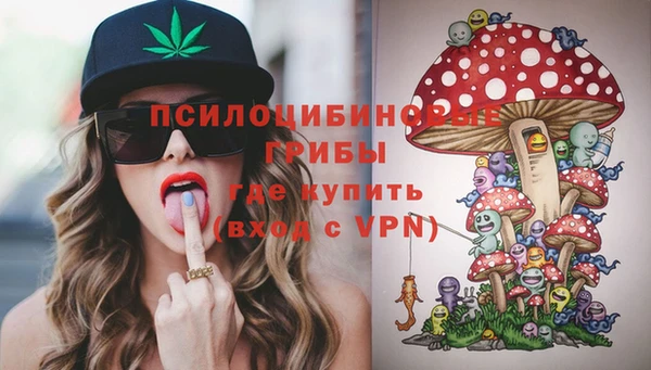 мет Арсеньев