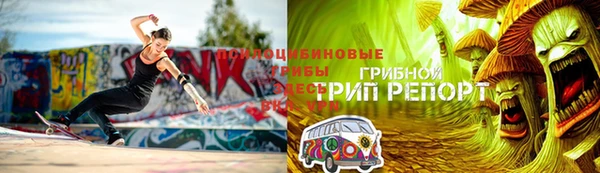 соль ск Аркадак