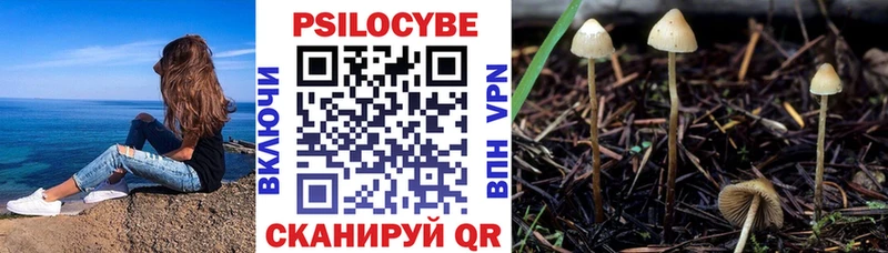 Псилоцибиновые грибы мицелий где найти наркотики Белозерск